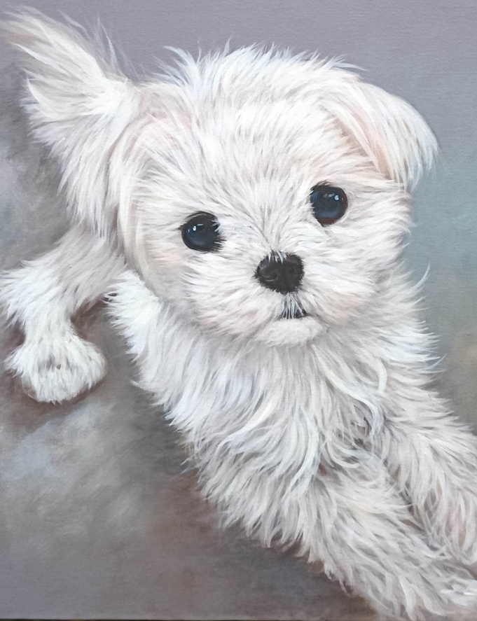 Egendefinert portrett-maling av hvit hund